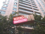 上海吊装家具公司，上海吊家具，上海吊沙发，上海沙发吊装公司